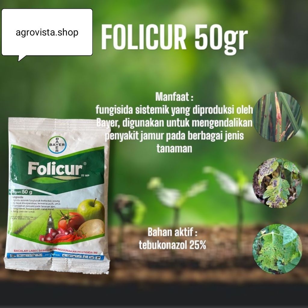 FOLICUR 25 WP FUNGISIDA (50 GRAM)