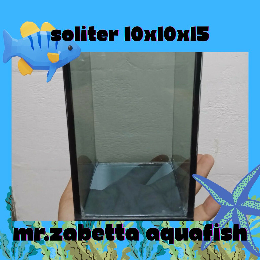 Aquarium Cupang Aesthetic | Soliter Cupang kaca tebal 10x10x15 cm.