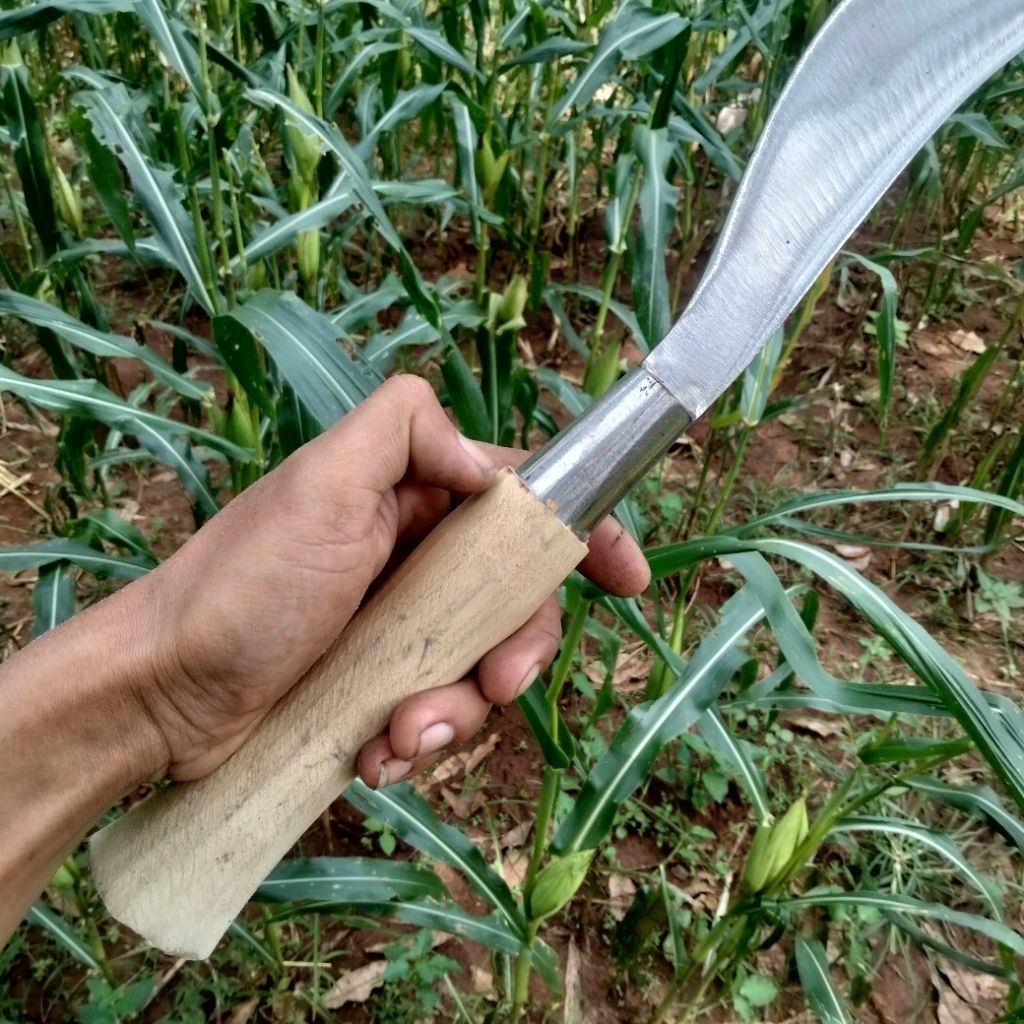 peralatan berkebun arit/sabit tani arit/sabit rombes arit/sabit rambam ketebalan 8mm bahan baja per 