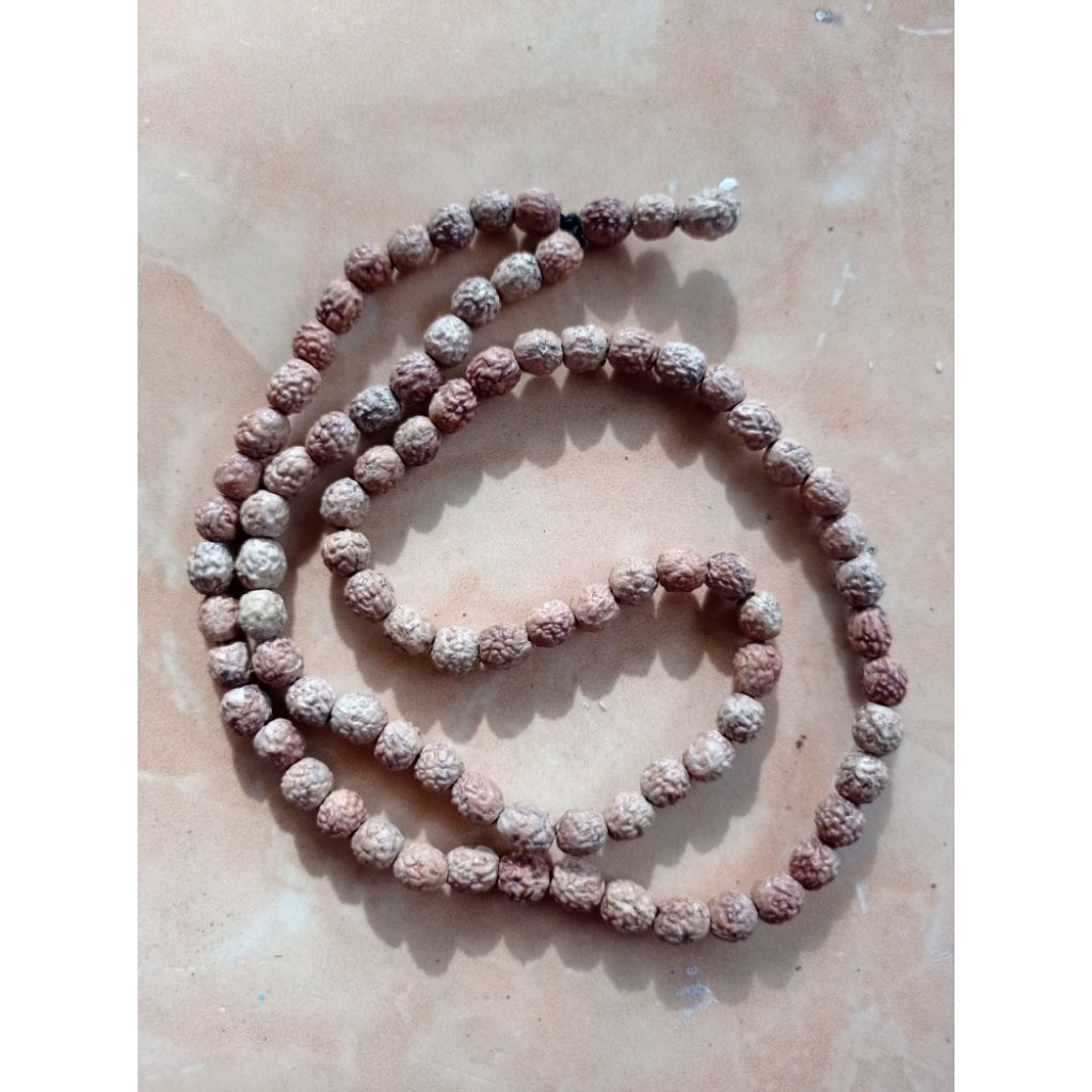 tasbih biji bidara