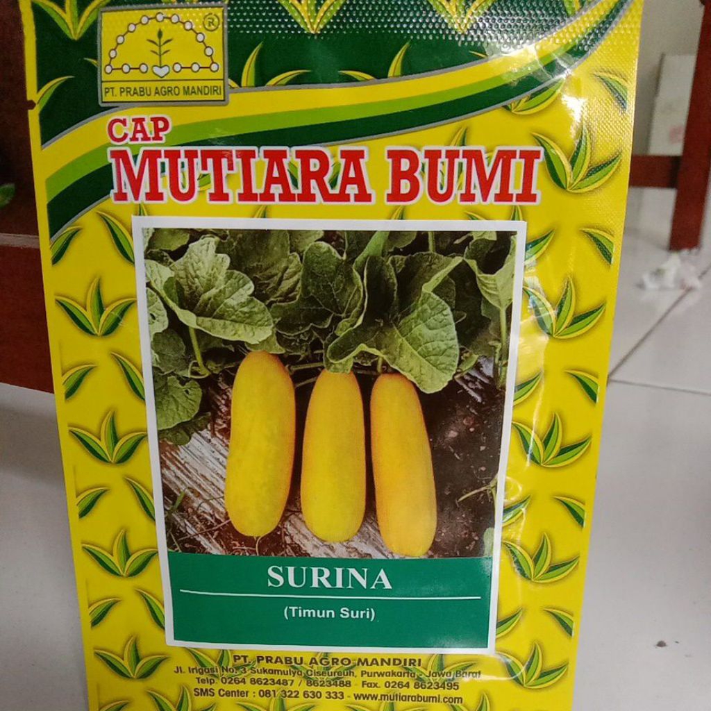 Benih Timun Suri Surina 20gr