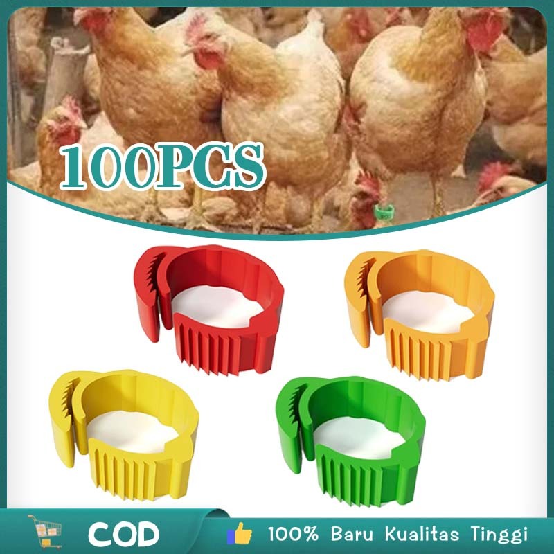 Nomor 001-100 Cincin Kaki Ayam Bangkok Cicin Ayam Gelang Kaki Ayam Kecil Cincin Kaki Ayam Kampung