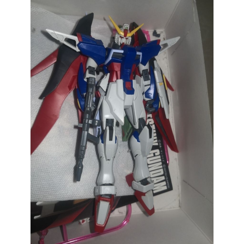 Hg gundam destiny revive
