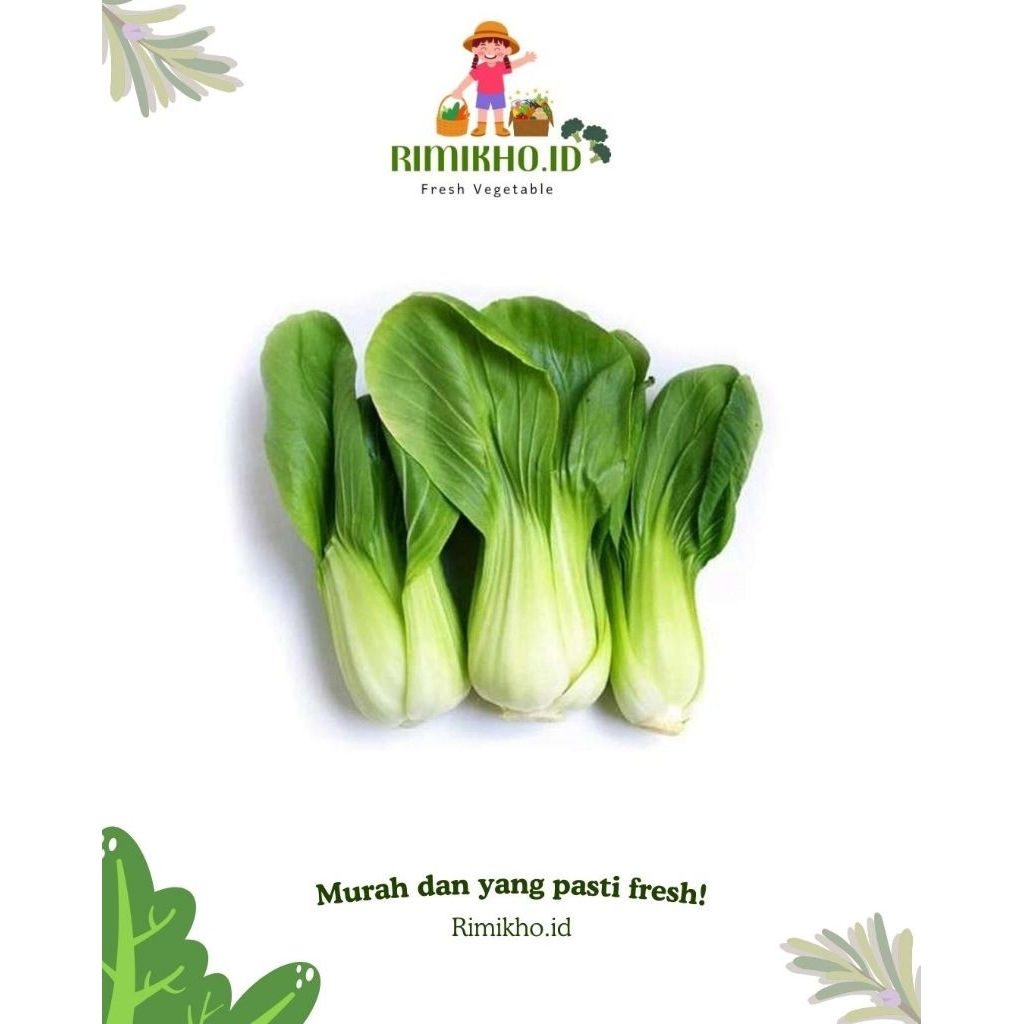 INSTANT- PAKCOY~SAWI HIJAU DAGING 500g-1kg, SAYUR SEGAR SURABAYA