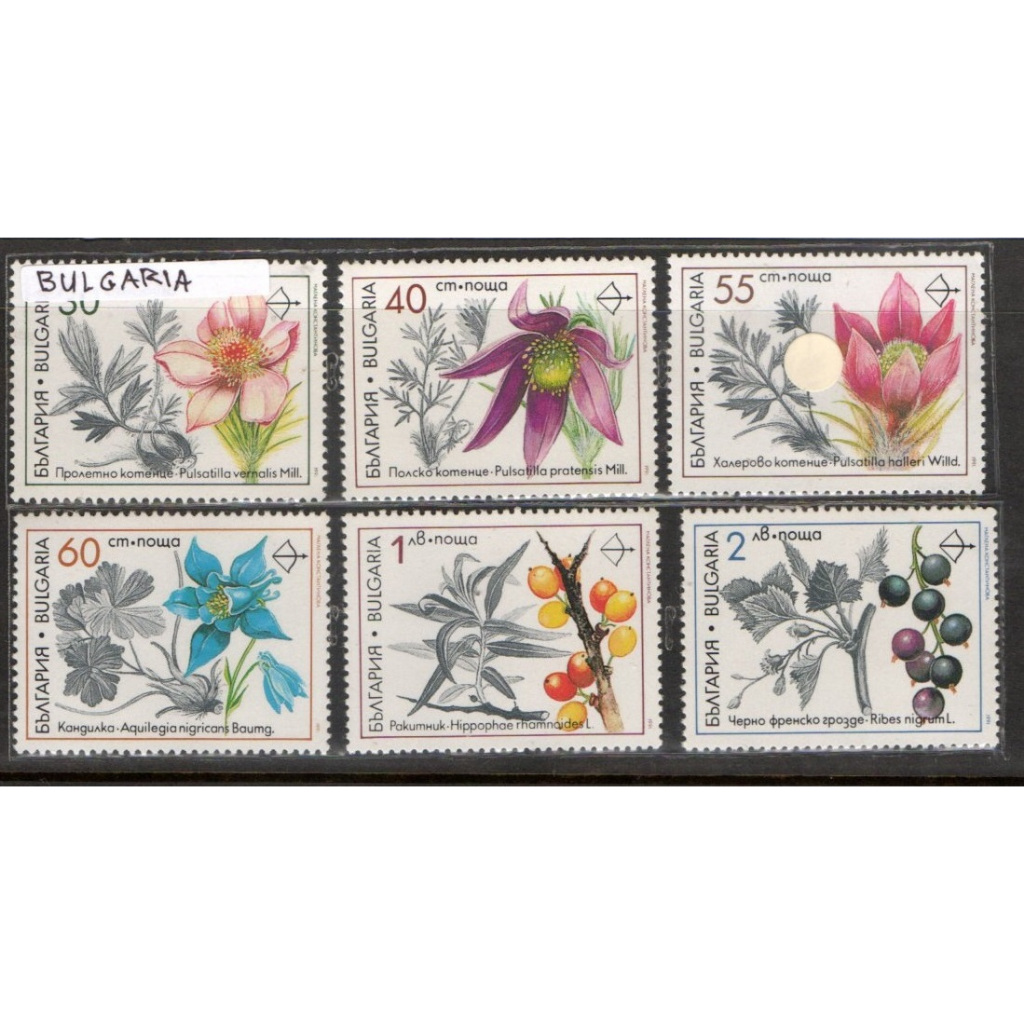 Prangko Tema Bunga mint 164