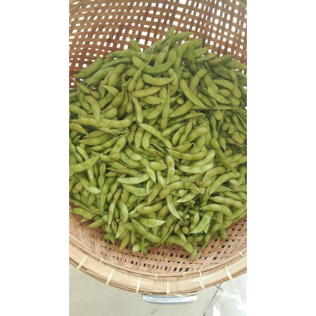 Judul :READY EDAMAME Fresh Premium (1kg/1000g) Asli Jember