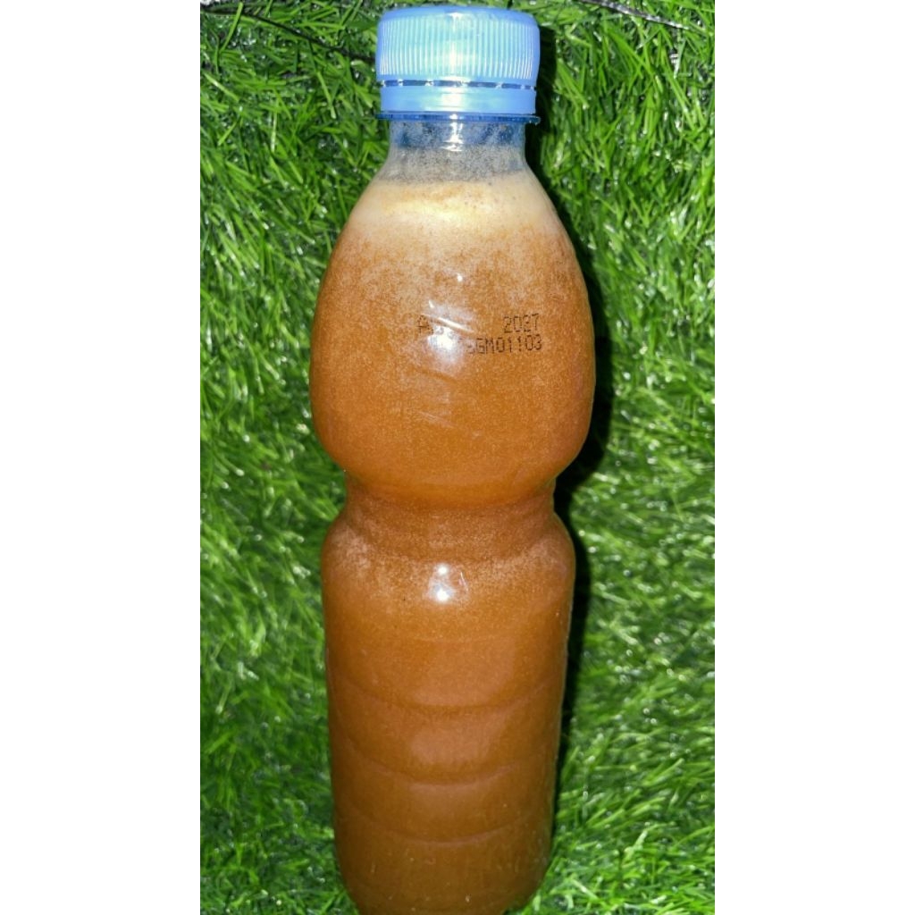 Madu Hutan Asli Konawe Sulawesi Tenggara