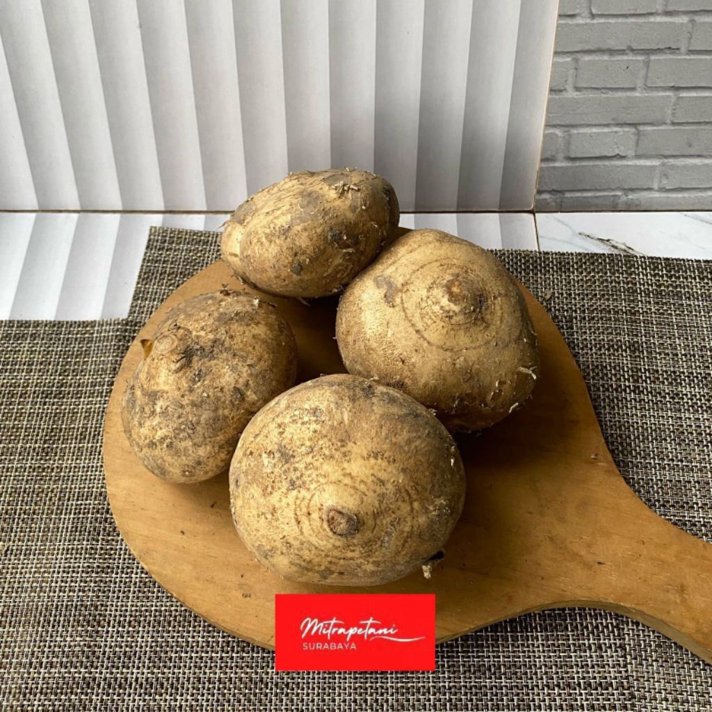 Bengkoang/buah bengkoang 500 gram/buah fresh