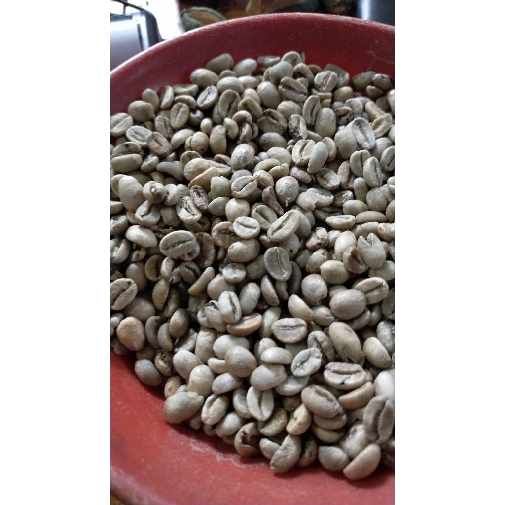 Kopi Toraja Arabica PuluPulu Kopi Biji Green Bean Kopi Mentah 1 kg