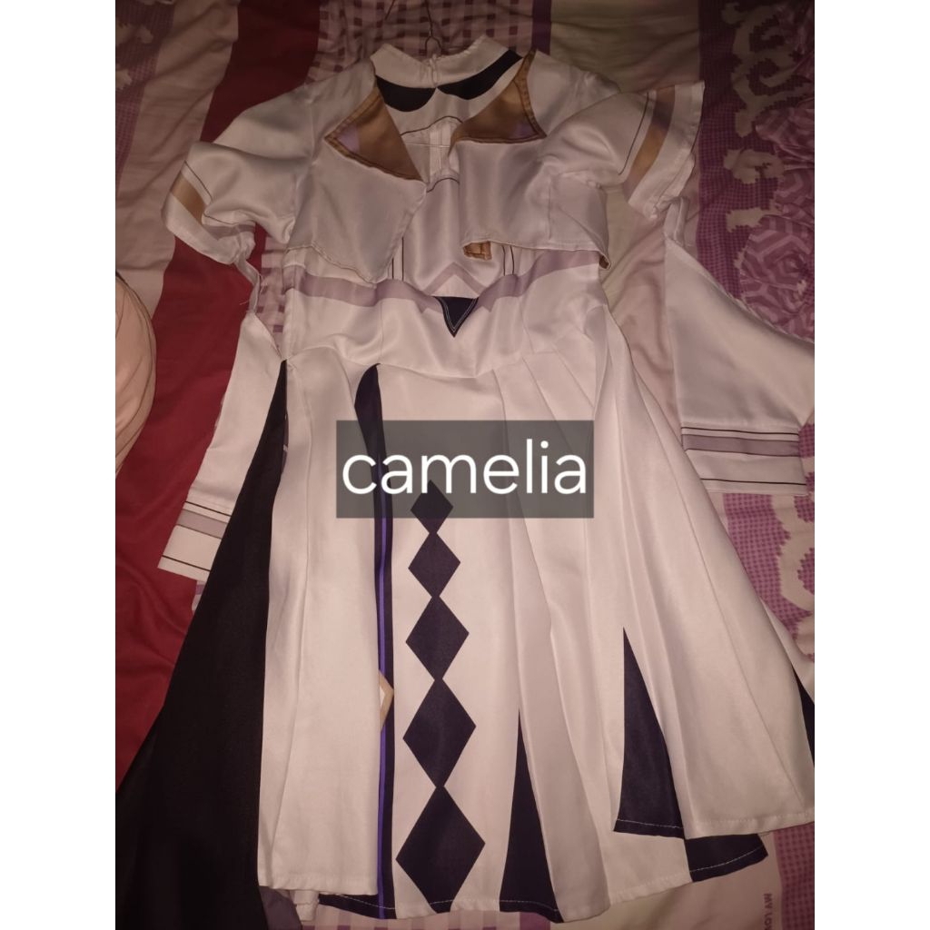Vestia Zeta Costume cosplay