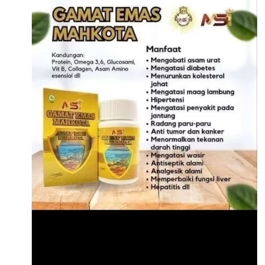 kapsul Gamat Emas Msi