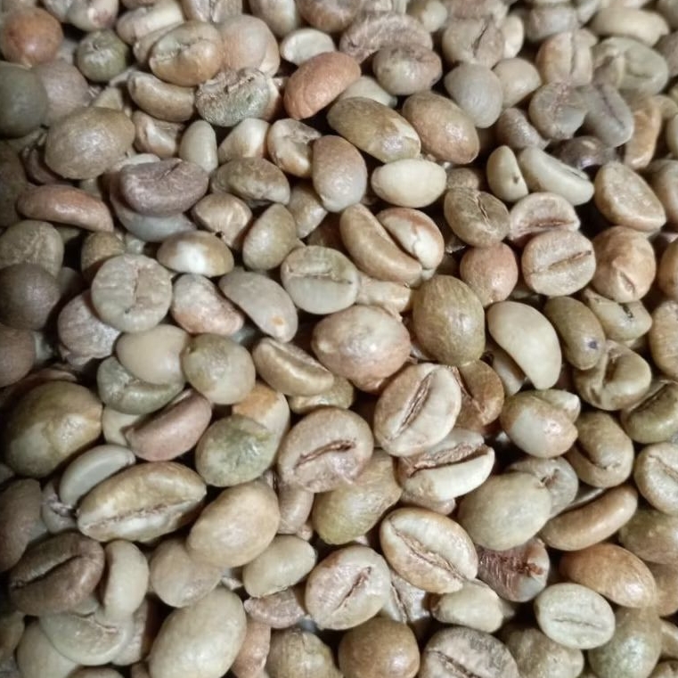 biji kopi robusta java Preanger