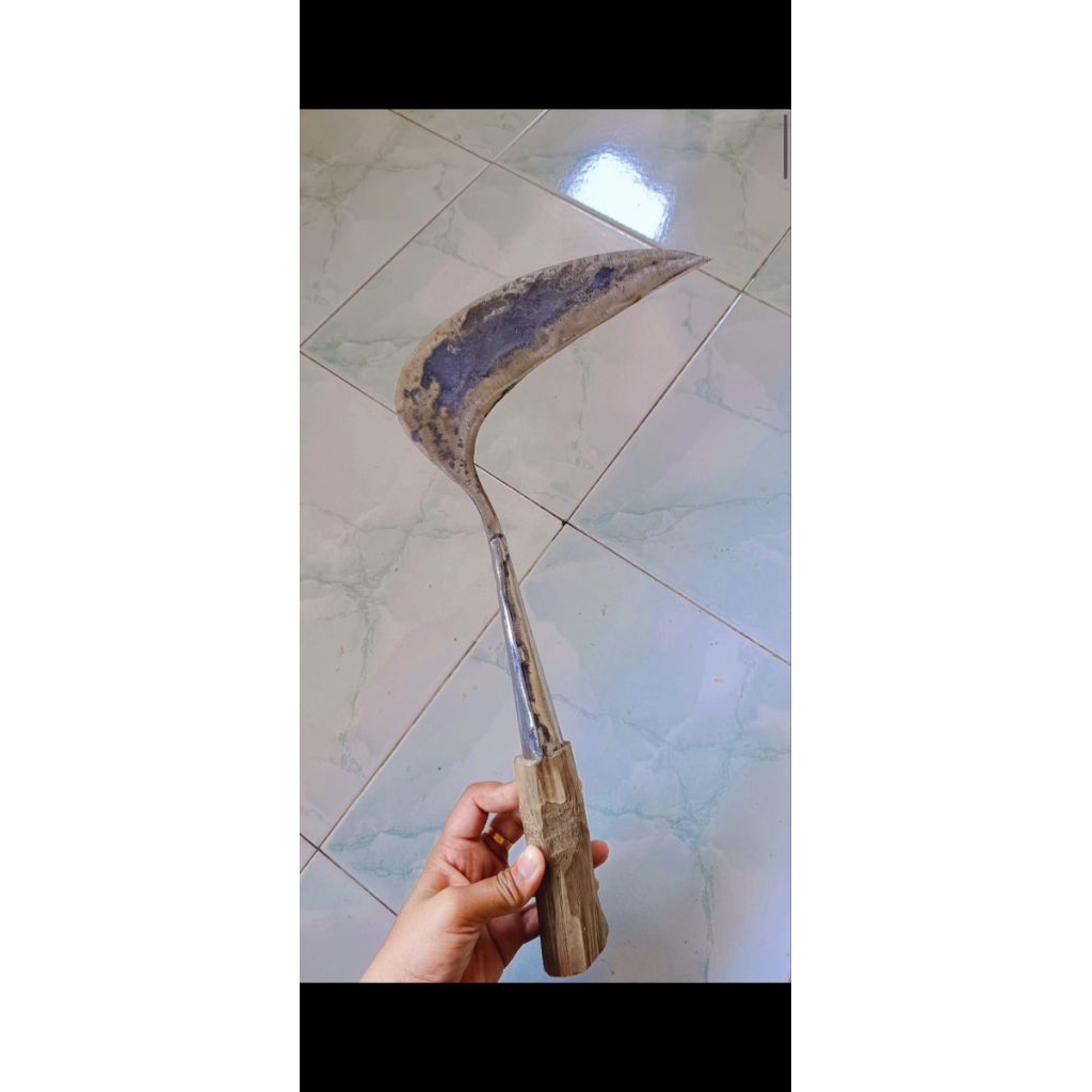 Arit gagang cincin panjang cap 55 asli Madura