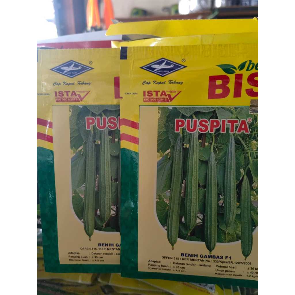 PUSPITA OYONG BENIH GAMBAS F1 CAP KAPAL TERBANG 10g