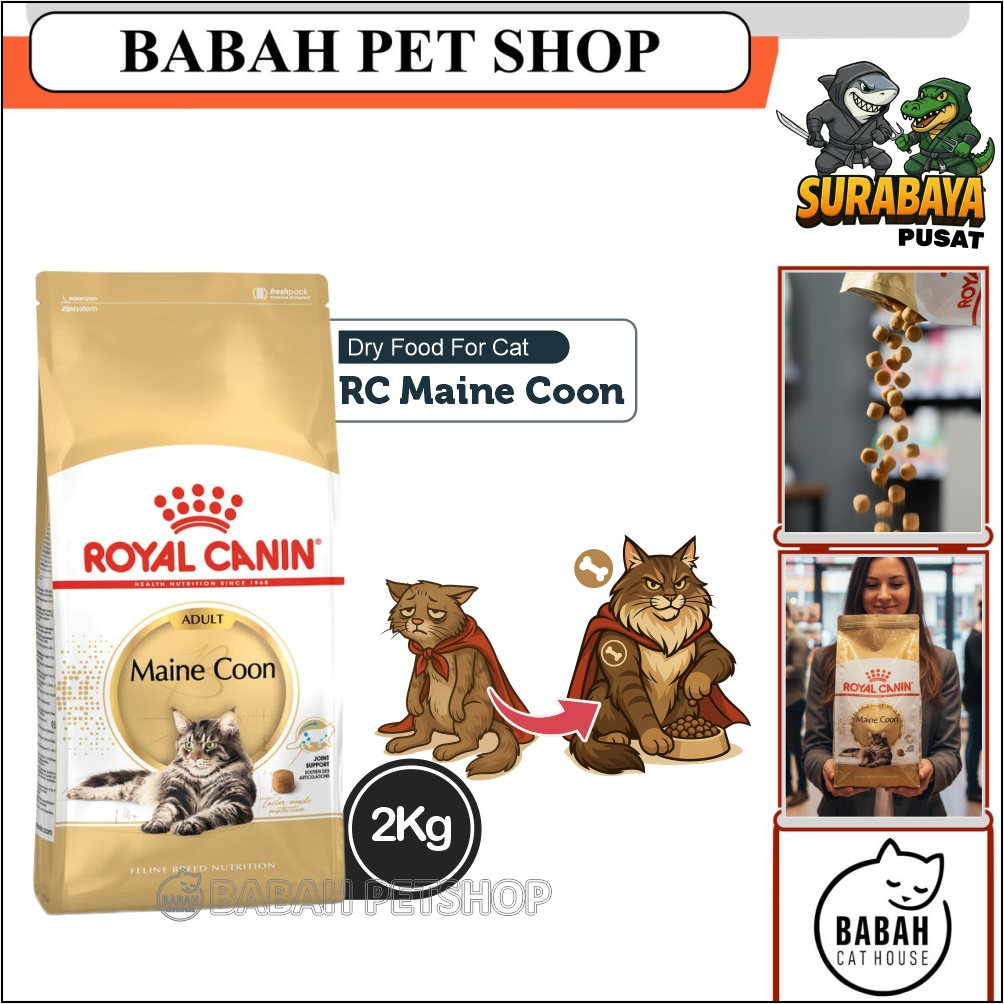 2kg ROYAL CANIN ADULT MAINECOON cat food makanan kucing rc main coon untuk dewasa ras besar bulu pan