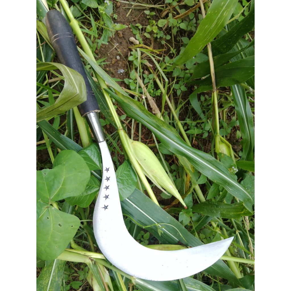 Alat tani arit rumput baja sepuh alat berkebun dan tani