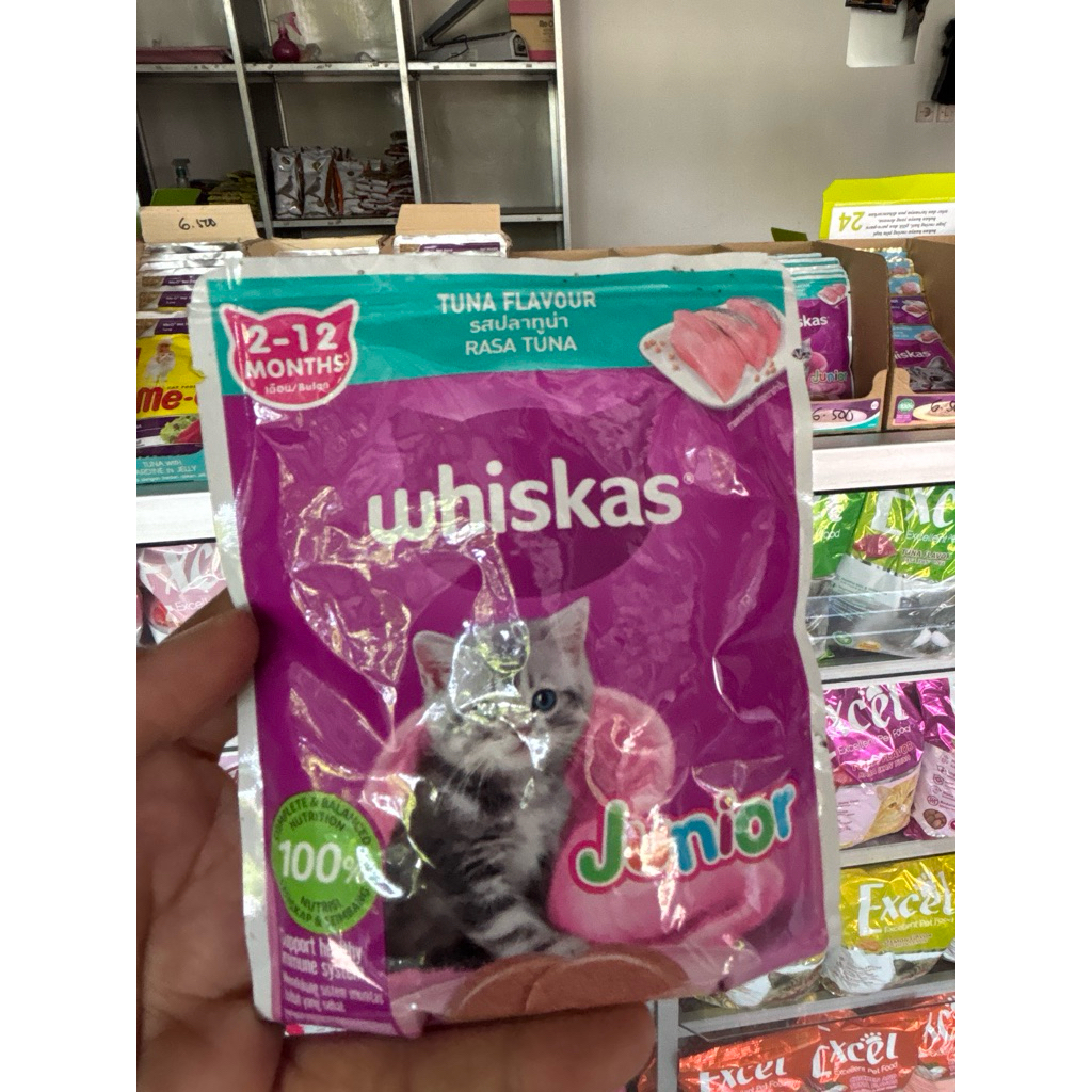 whiskas junior / whiskas junior basah/ whiskas usia 2-12bulan
