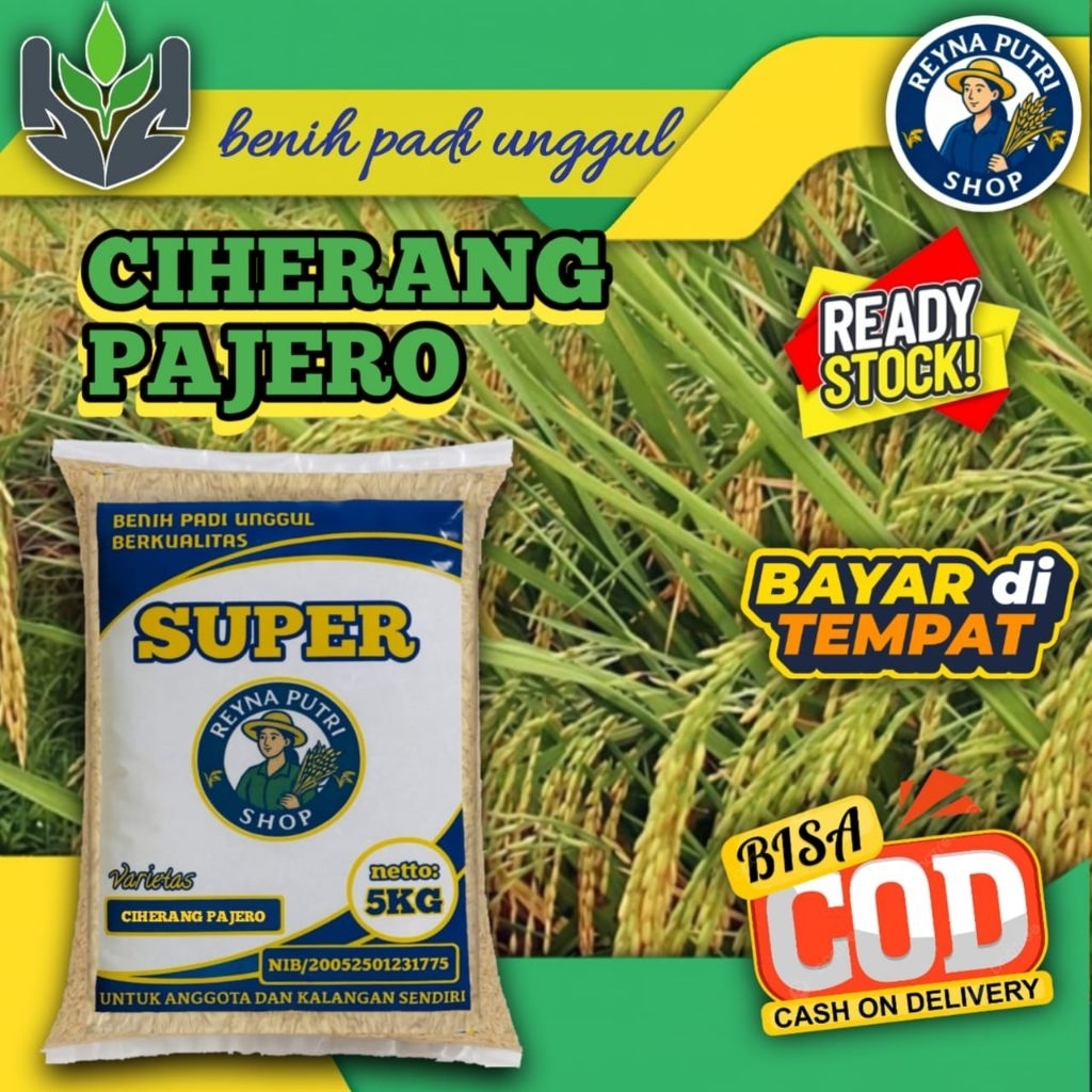 BENIH PADI CIHERANG PAJERO SUPER 5kg