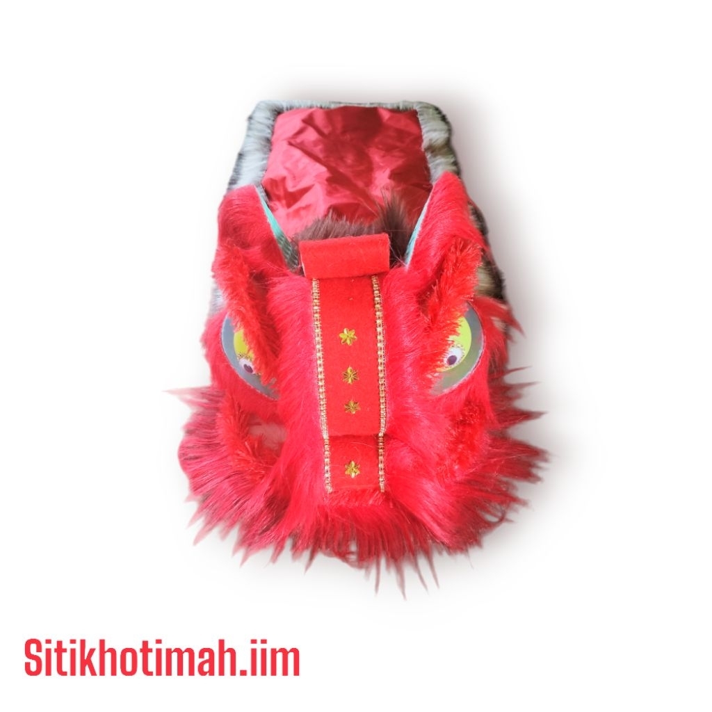 Barongsai anak anak 5-12 tahun Barongsai Anak Mata Menyala