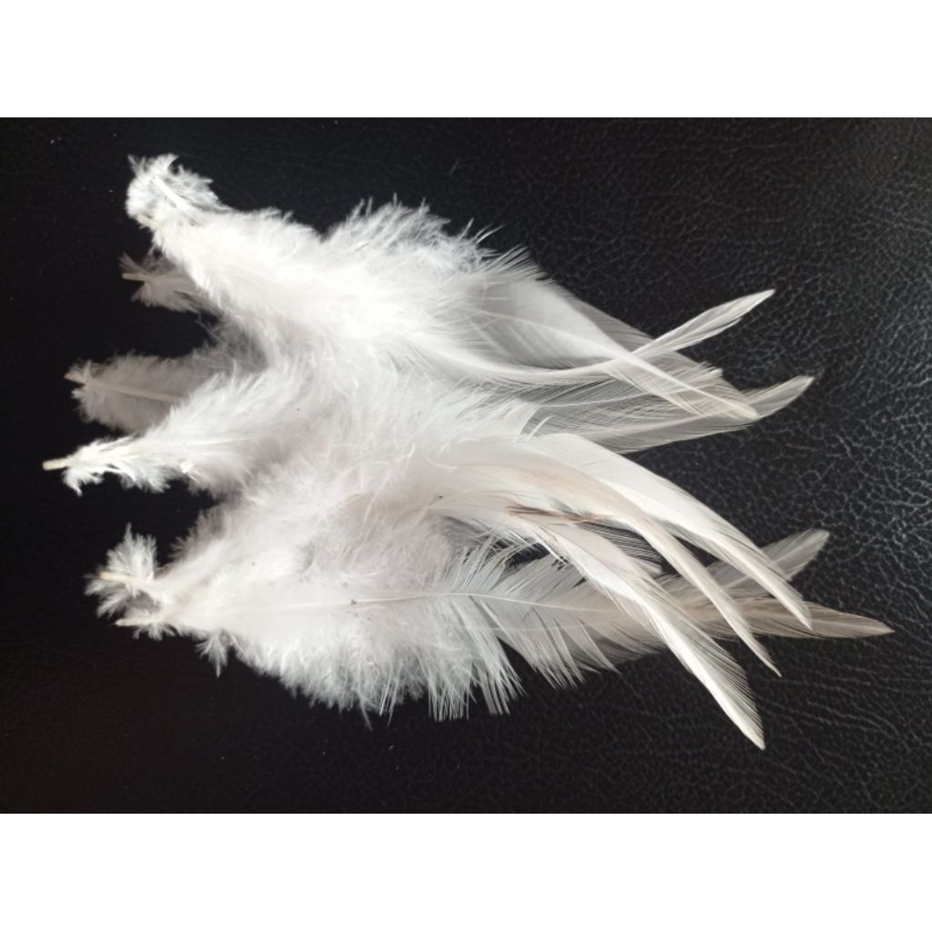 bulu ayam rawis panjang umpan pancing warna putih bersih, halus ldan lembut