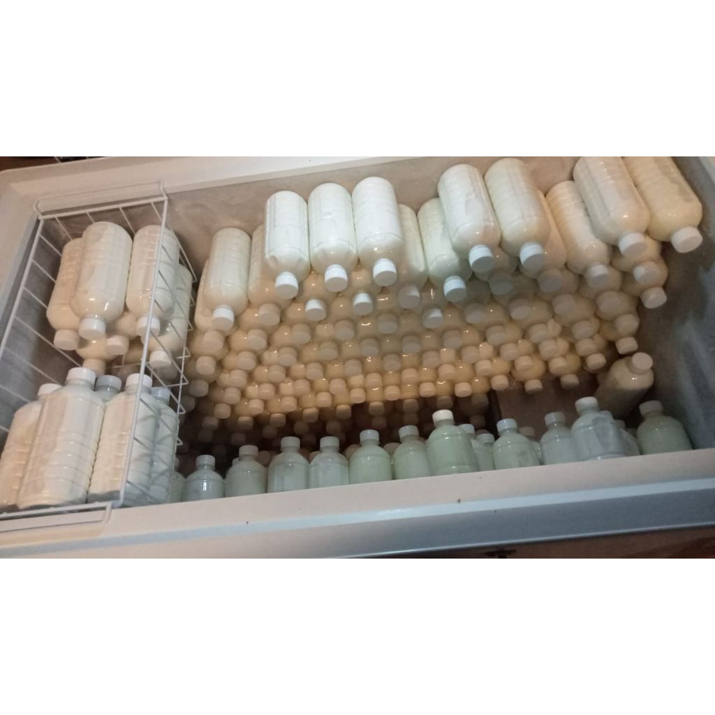 susu kambing murni