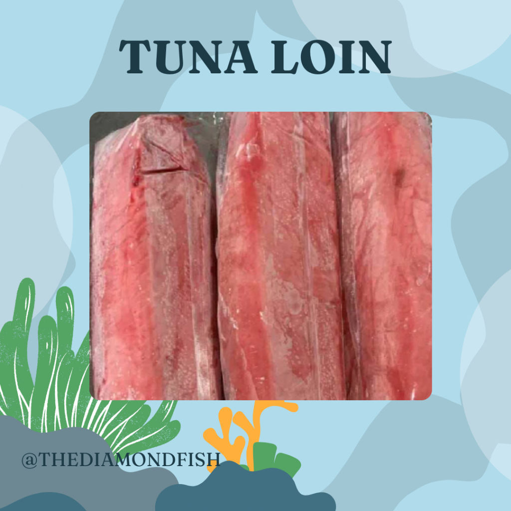 Tuna Loin Tuna Fillet Daging Ikan Tuna Fillet Segar