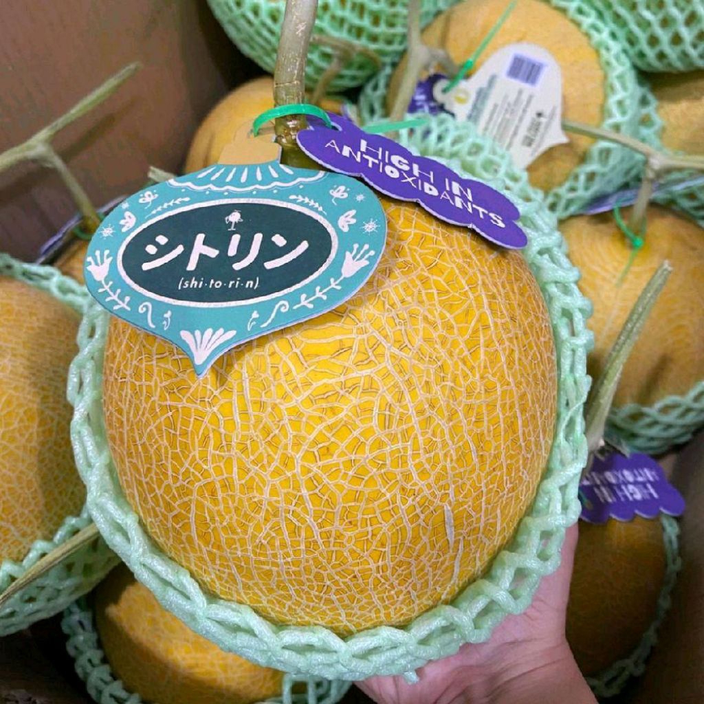 Buah melon jepang shitorin super sweety melon premium jepang -+1,4 kg