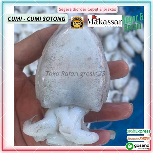 Cumi Sotong Segar–Daging Tebal, Fresh Siap Masak Cumi-Cumi Sotong Fresh–Tidak Amis, Kualitas Premium