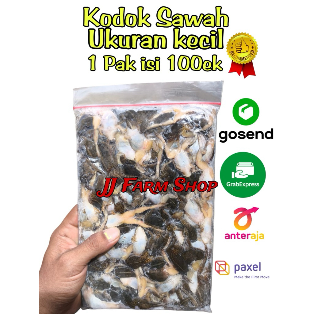 kodok sawah beku kodok kecil ISI 1pack 100ekor makanan pakan ikan predator dll kodok beku fresh