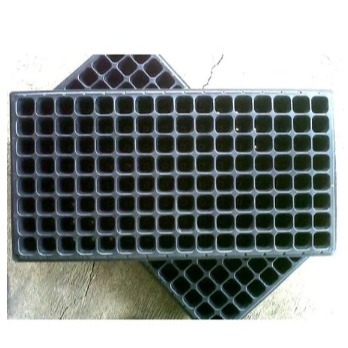 tray semai 128 Lubang