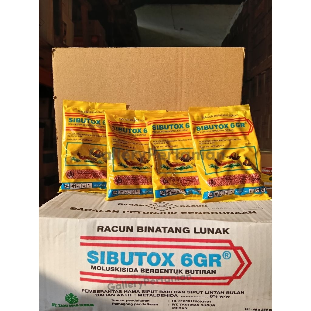 Sibutox 6 GR 250gr (40BKS/BOX)