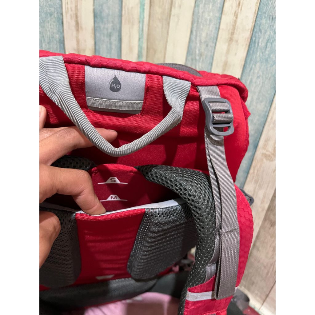 carrier Eiger eliptic lunaris