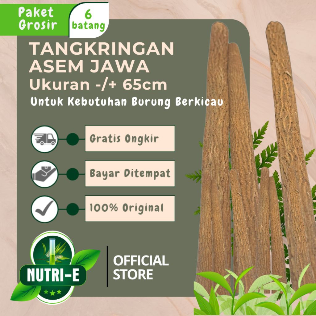 [Grosir] 6pcs Tangkringan Asem Jawa Asli Pangkringan Kayu Asem Jawa