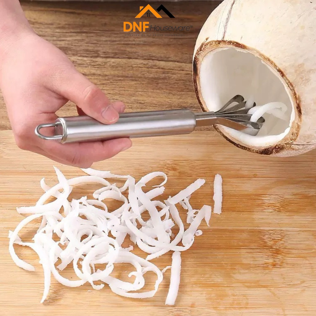 DNF HOUSE Alat Kerokan Kelapa Muda Melon Pepaya Pembersih Sisik Ikan Stainless Steel Coconut Shaver 