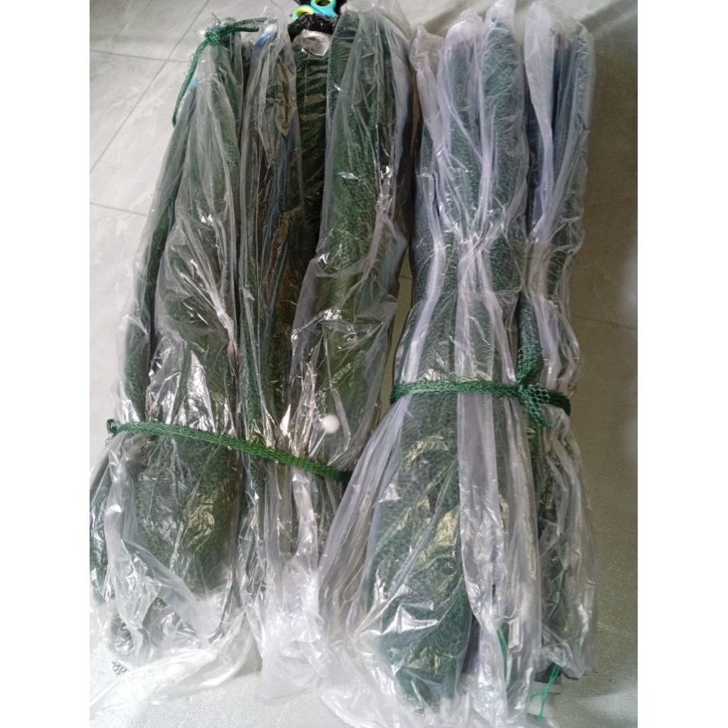 Jaring Bubu ikan 6 lobang