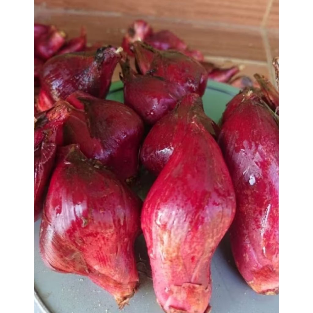 Bawang dayak bersih basah 1kg