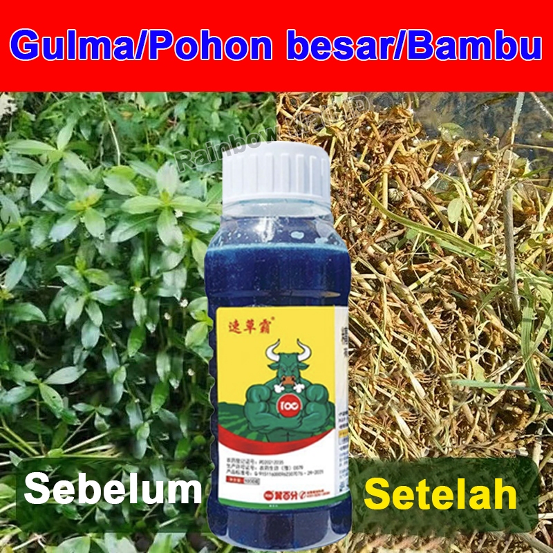 Racun Rumput Paling Ampuh Racun Pohon Besar Ampuh Oba Pembunuh Pohon Besar obat Pembasmi Rumput Liar