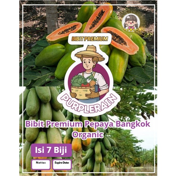 Bibit Premium Pepaya Bangkok Organic | Biji Benih Pepaya Bangkok | Biji Benih Pepaya