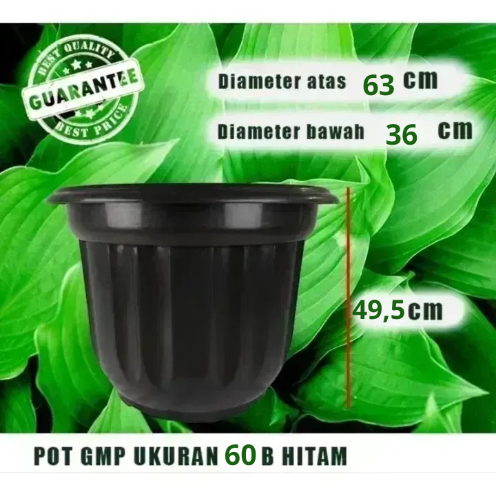 Pot 60 Belimbing Hitam / Pot Besar 60 Motif Kembang GMP
