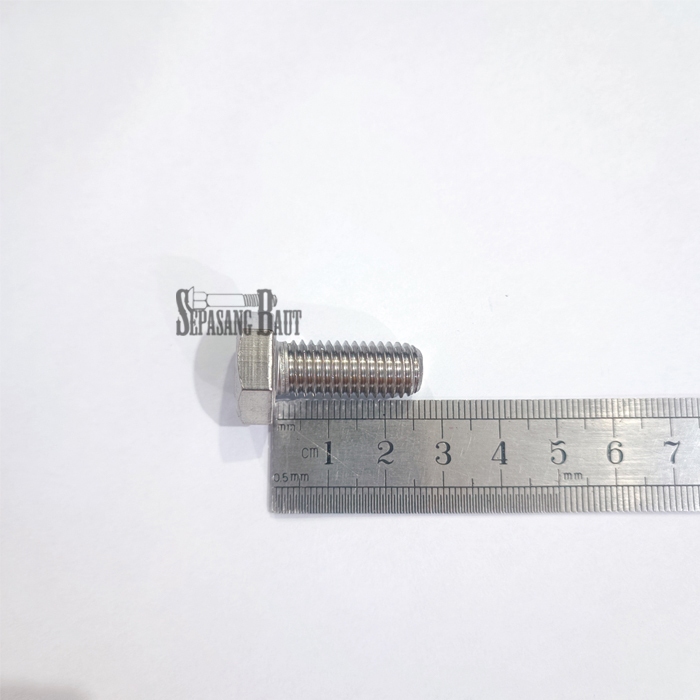 M10 x 25 Baut Hexagon Stainless 304 M10x25