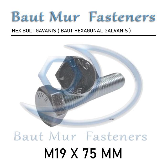 baut mur m19 x 75 / bmp m19 x 75 galvanis
