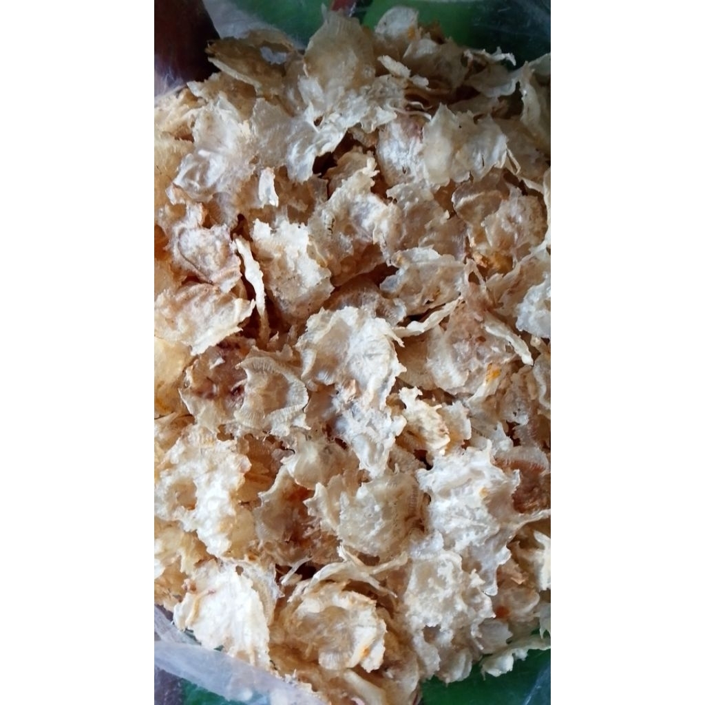 gelembung ikan otek/mayung/duri.berat 250