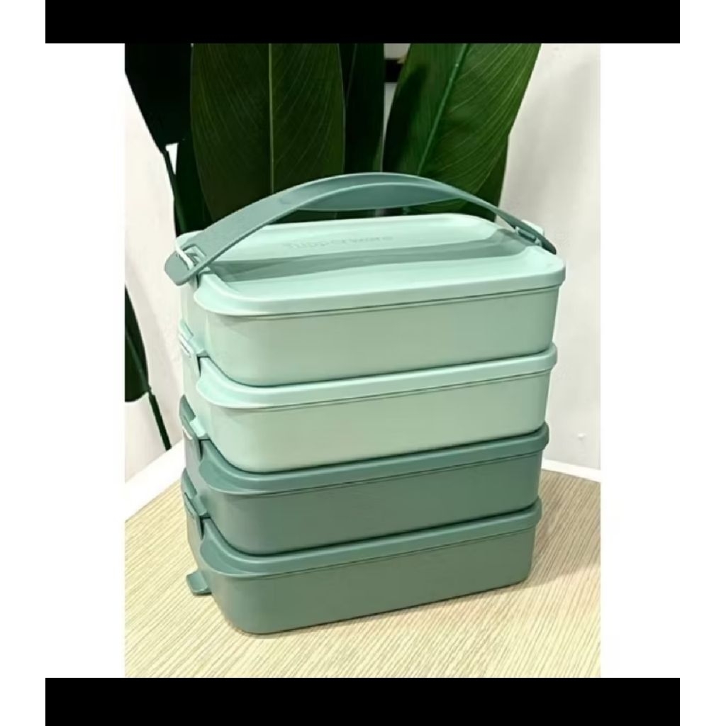 click to go rectangular malaysia