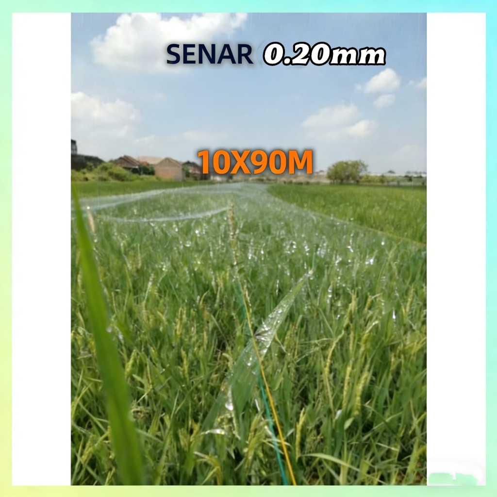 JARING SENAR 0.20 / JARING BURUNG EMPRIT / JARING PADI / JAGA BURUNG / JARING SAWAH