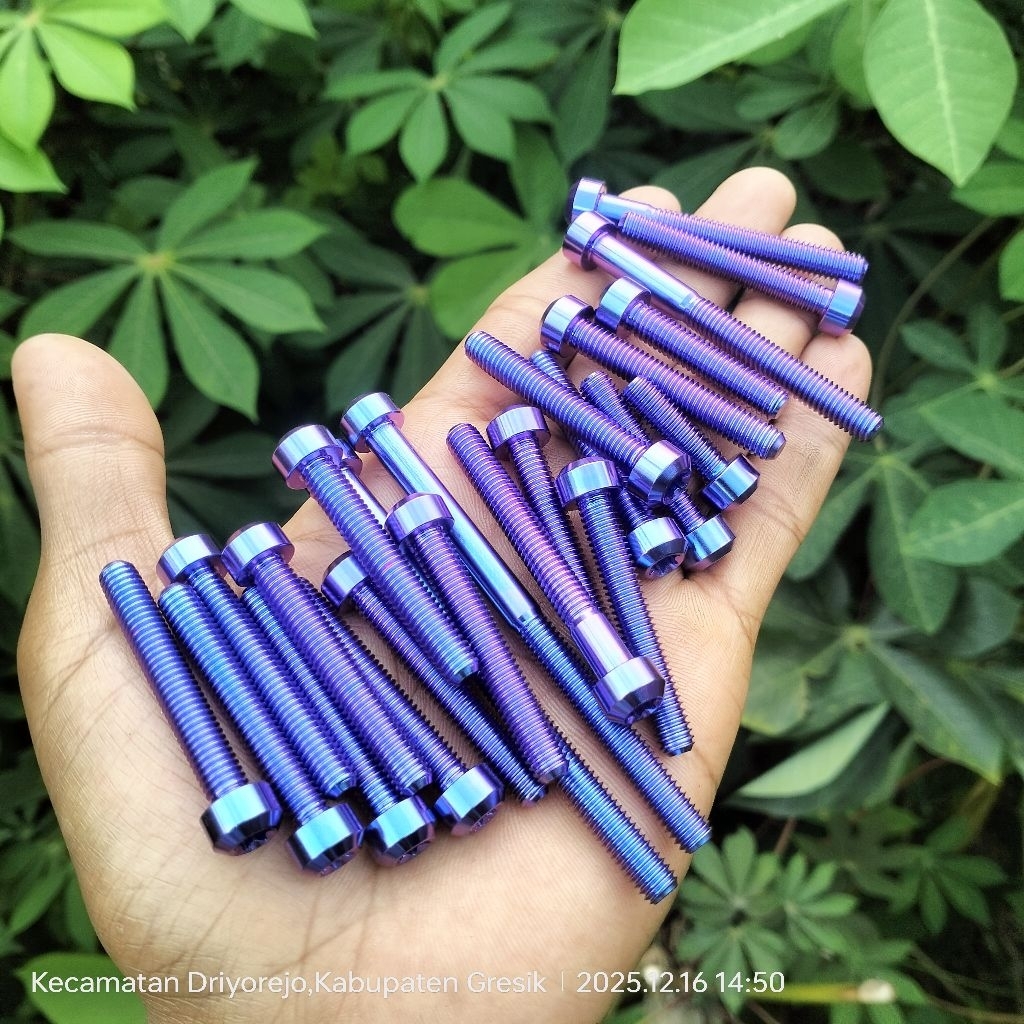 kalter kanan kiri MP Tiger gr5