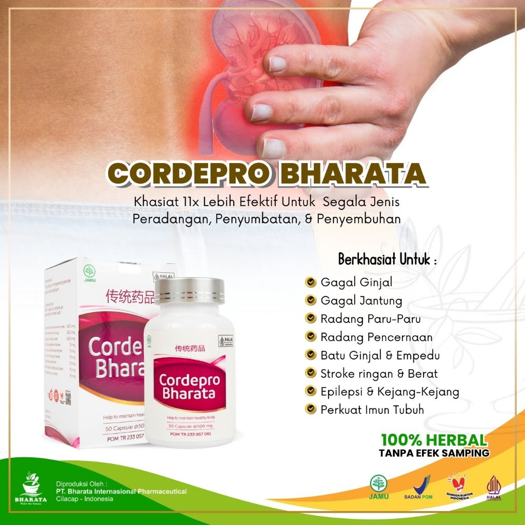 CORDEPRO BHARATA HERBAL 100% Asli Original Bharata