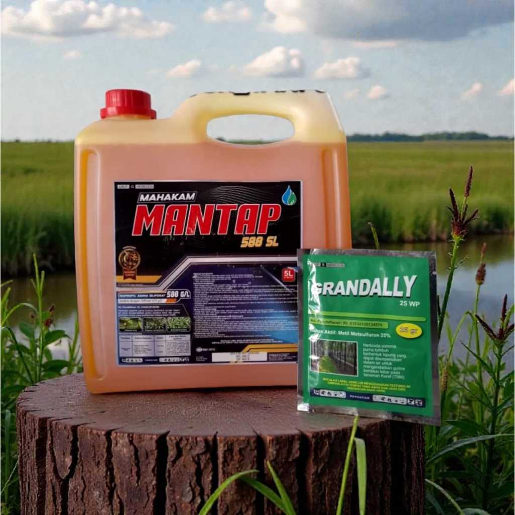 Herbisida Sistemik Mantap 588SL Kemasan 5 Liter Non-Selektif