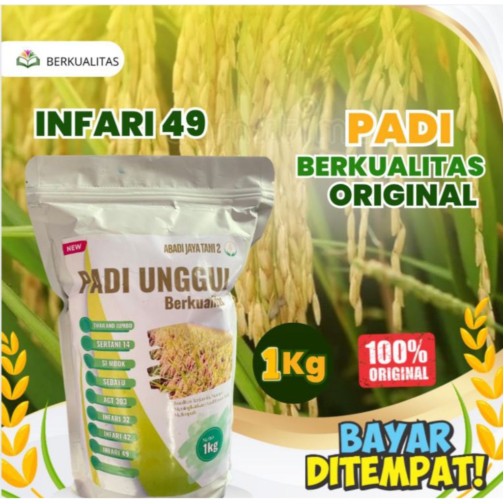 Bibit padi super berkualitas Bibit padi INPARI 49. 1kg