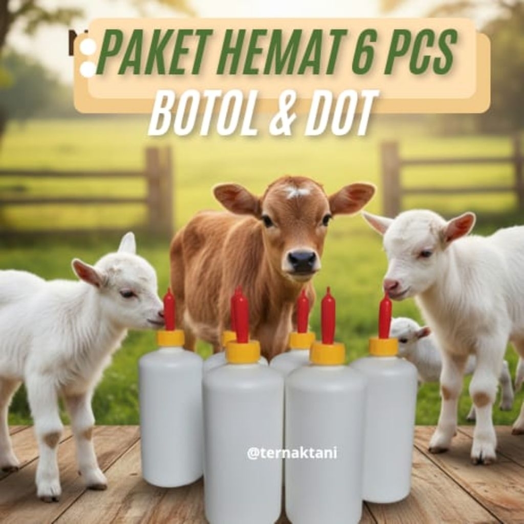 (PAKET ISI 6 BOTOL +DOT) BOTOL & DOT UNTUK ANAK KAMBING (CEMPE) DAN ANAK SAPI (PEDET) UKURAN 500 ML