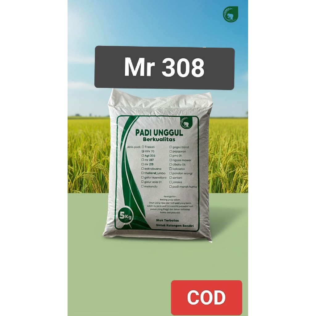 Benih Padi Unggul Mr 308